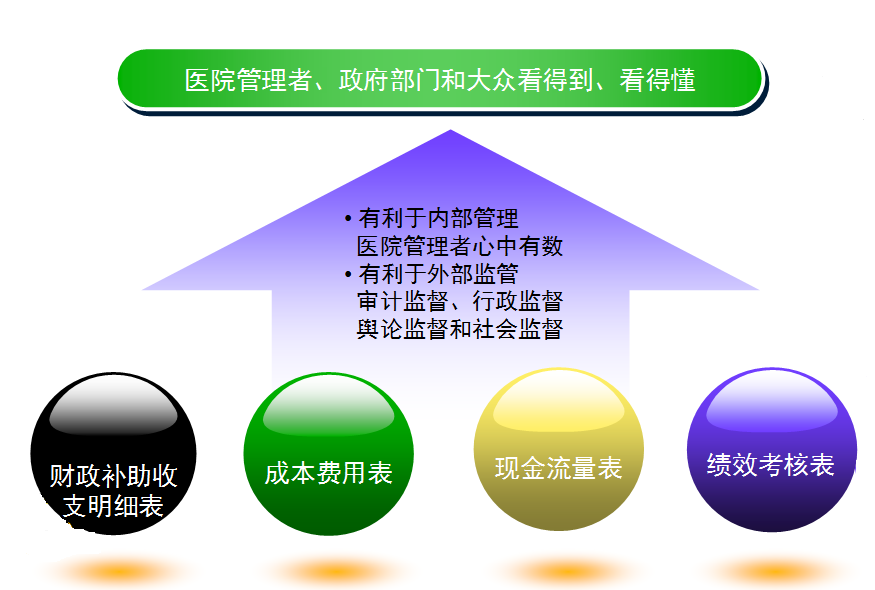 收入支出明细表模板_医院收入支出管理制度(2)